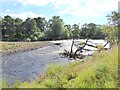 River Tees below High Coniscliffe