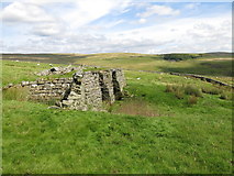 NY8442 : Lime kiln east of Clarty Lane by Mike Quinn