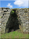 NY8442 : Lime kiln east of Clarty Lane - arch by Mike Quinn