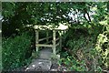 Footbridge near Wootton Fitzpaine