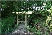 SY3695 : Footbridge near Wootton Fitzpaine by Becky Williamson