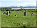 SD2973 : The Druidâs Stone Circle, Birkrigg Common by G Laird