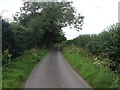 Tilden Lane, near Marden