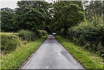SK2267 : Coombs Road by Peter McDermott
