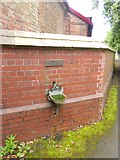 NZ2513 : Drinking fountain at Tees Cottage by Oliver Dixon