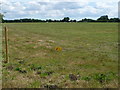TM0873 : Mellis Common, looking east towards Potash Farm by Christine Johnstone