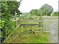 Llanrhaeadr-ym-Mochnant, stile & sign