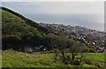 Ventnor from Littleton Down