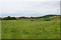 Fields above East Quantoxhead