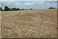 Stubble field near Hewelsfield