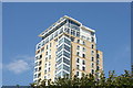 View of Circus Apartments peeping above the trees in Westferry Circus