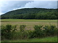 SJ6408 : The Wrekin viewed from Willowmoor by Mat Fascione