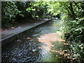 The River Avon at Pewsey