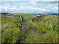 Gate on footpath from Holden Moor to Whelpstone Lodge, Rathmell