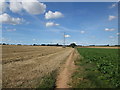 Footpath towards Sprotbrough