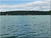 TM2238 : Green navigation buoy, Long Reach, River Orwell by Christine Johnstone