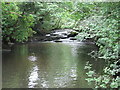 The Dulais above Aberdulais Falls