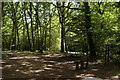 Seat beside a track on Epsom Common