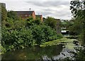 The Old River Soar in Westcotes, Leicester