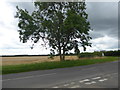 Stormy weather on Caythorpe Heath