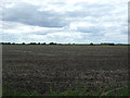 Field near Fair View Farm