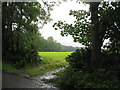 Silage field