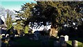 Churchyard yew at St Mary Magdalene, Hewelsfield