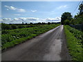 Lane looking south west