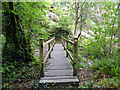 Footbridge by Bodmin Pill