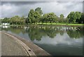 Pond, Knightswood Park