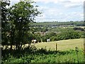 Horses on Wimblebury Hill