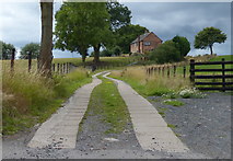 SJ6505 : Track to the Moors Farm by Mat Fascione