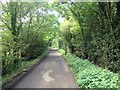 Grave Lane, near Staplehurst