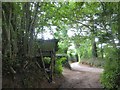 End of a track and a ruined garage