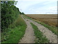 Farm Track And Path