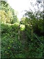 Footbridge near Underleigh Farm