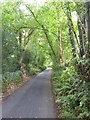 Catshill Head, the road west of Shotash