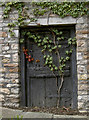 A greener door