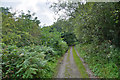 Neath Port Talbot : Footpath