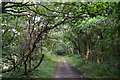 Neath Port Talbot : Bryn Cycleway