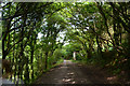 Neath Port Talbot : Bryn Cycleway