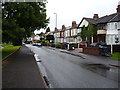 A damp morning in Stockland Green