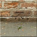 Bench mark, Hopwell Road railway bridge