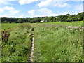 Looking from bridleway across Barrow Green Road to buildings