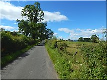 NS4282 : Road near Easter Auchencarroch Farm by Lairich Rig