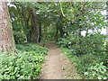 The London LOOP in Havering Country Park