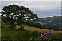 SS7991 : Neath Port Talbot : Countryside Scenery by Lewis Clarke