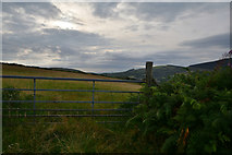SS7991 : Neath Port Talbot : Grassy Field & Gate by Lewis Clarke