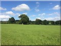 Field near Leys Farm