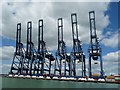 TM2534 : Cranes, Port of Felixstowe, from the south by Christine Johnstone